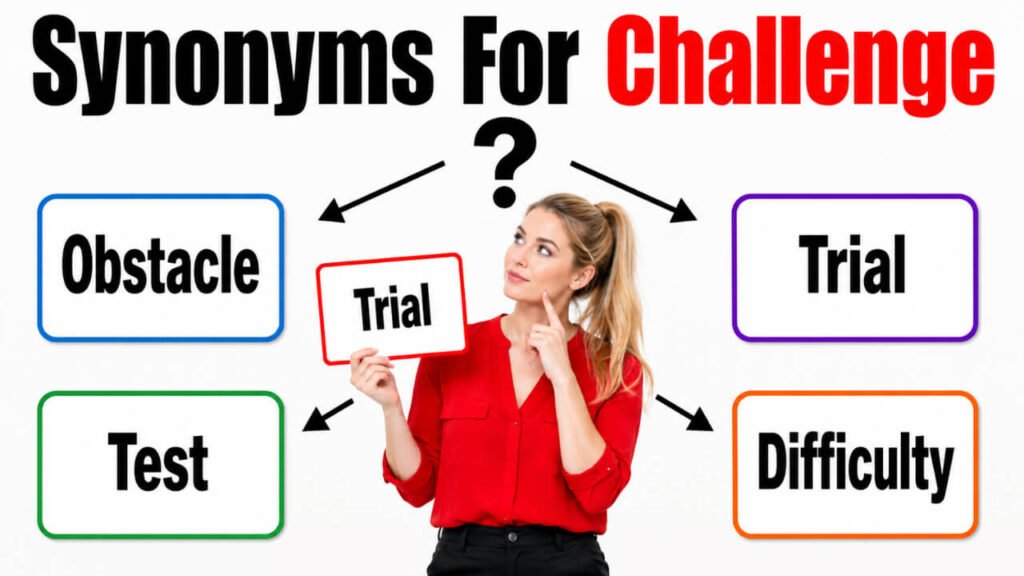 synonyms for challenge