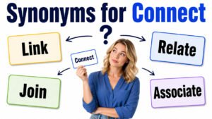 synonyms for connect