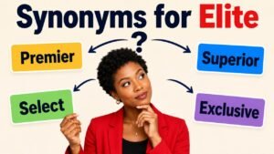 synonyms for elite