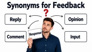 synonyms for feedback