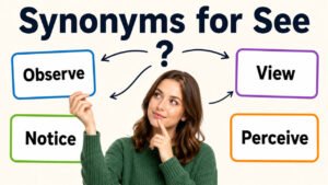 synonyms for see