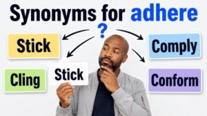 synonyms for adhere
