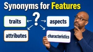 synonyms for features
