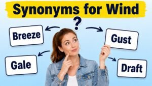 synonyms for wind
