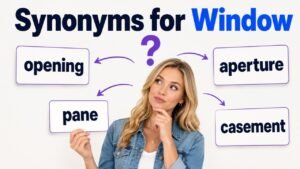 synonyms for window